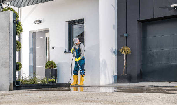 Animal Enclosure Cleaning in South Patrick Shores, FL